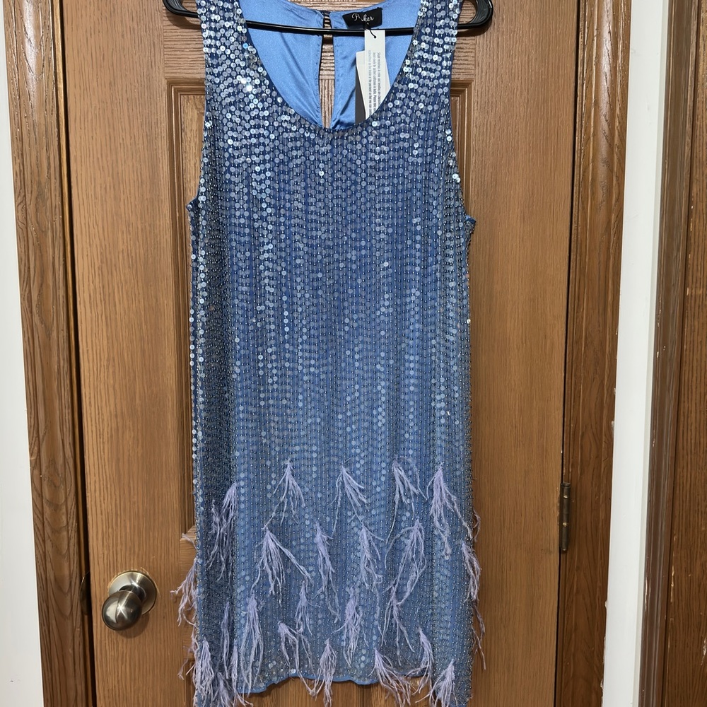 Parker Black Blueberry Ombré sequins Dress NWT size 10